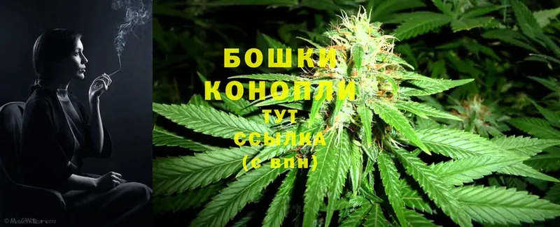 купить наркотики цена  Мамадыш  МАРИХУАНА THC 21% 